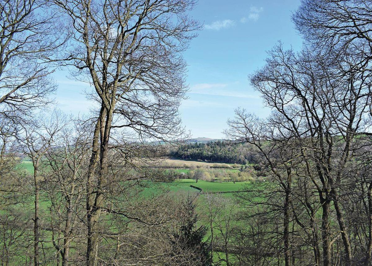Penllwyn Lodges Montgomery Luaran gambar