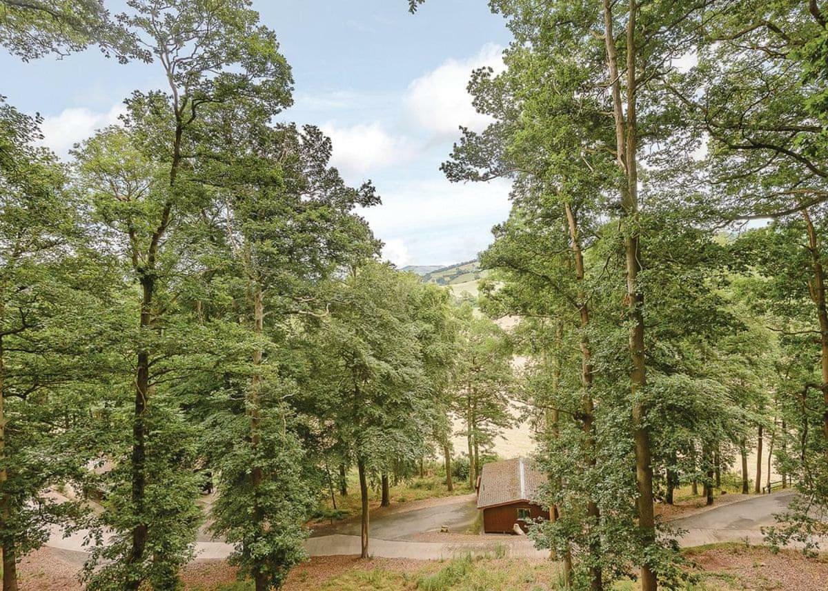 Penllwyn Lodges Montgomery Luaran gambar